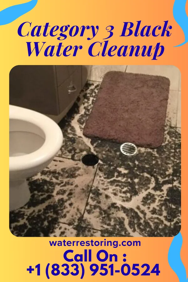 Category 3 Black Water Cleanup in Carterville, IL