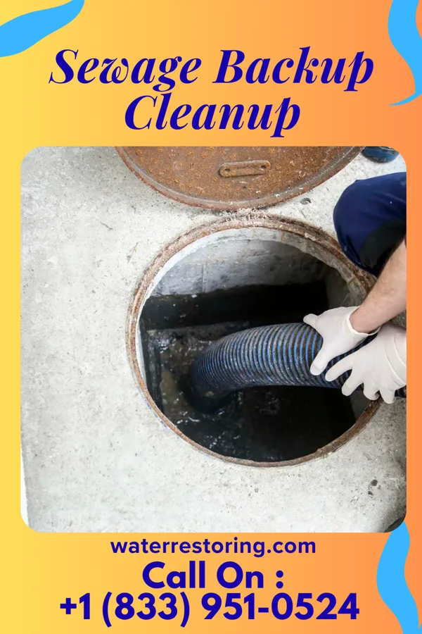 Sewage Backup Cleanup in Carterville, IL